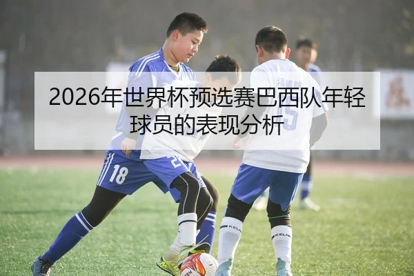 2026年世界杯预选赛巴西队年轻球员的表现分析