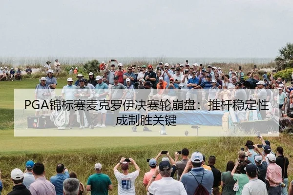 jin-biao-sai-mai-ke-luo-yi-jue-sai-lun-beng-pan-tui-gan-wen-ding-xing-cheng-zhi-sheng-guan-jian-2-170.jpg