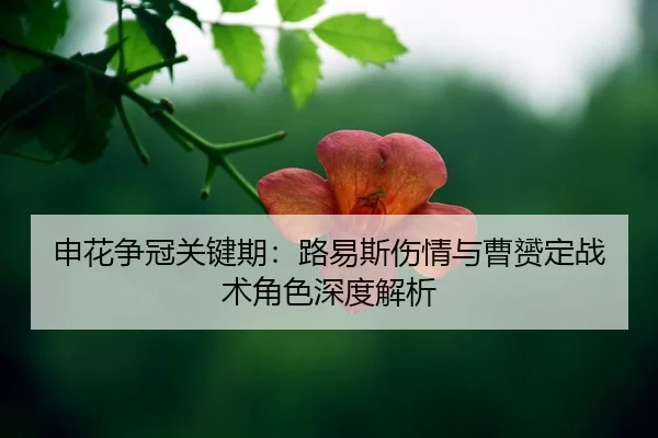 shen-hua-zheng-guan-guan-jian-qi-lu-yi-si-shang-qing-yu-cao-yun-ding-zhan-shu-jue-se-shen-du-jie-xi-2-384.jpg