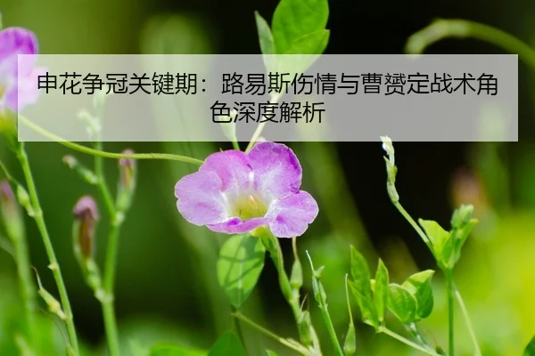 shen-hua-zheng-guan-guan-jian-qi-lu-yi-si-shang-qing-yu-cao-yun-ding-zhan-shu-jue-se-shen-du-jie-xi-3-689.jpg