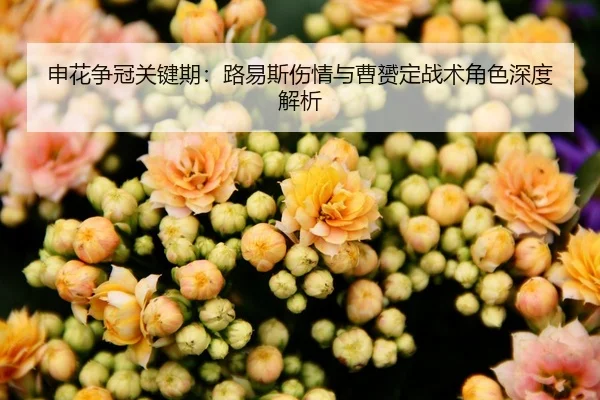 申花争冠关键期：路易斯伤情与曹赟定战术角色深度解析