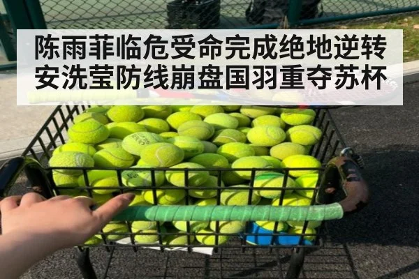 陈雨菲临危受命完成绝地逆转 安洗莹防线崩盘国羽重夺苏杯